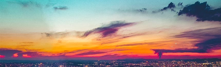 张掖茶虫网_张掖品茶